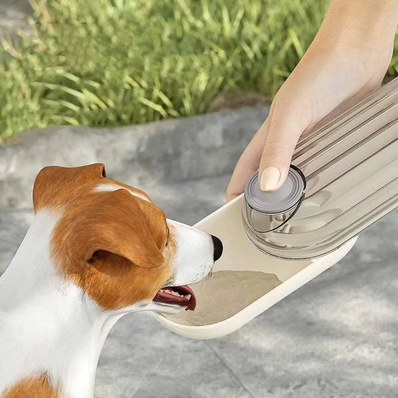 2 In 1 Portable Dog Drinking And Feeding Cup – Tophatters.co Official ...