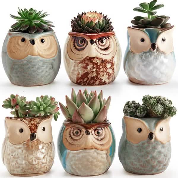 6-Pack: 2.5 Inch Owl Pot Ceramic Base Garden & Patio - Tophatter Daily Deals