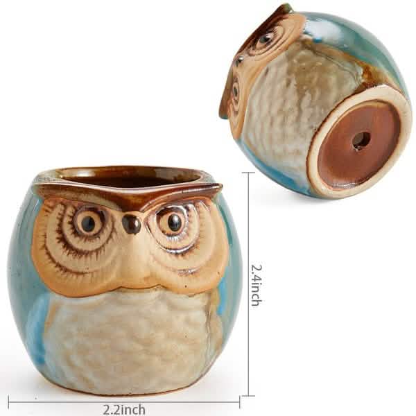 6-Pack: 2.5 Inch Owl Pot Ceramic Base Garden & Patio - Tophatter Daily Deals