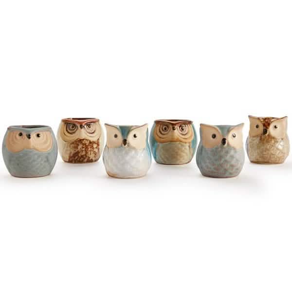 6-Pack: 2.5 Inch Owl Pot Ceramic Base Garden & Patio - Tophatter Daily Deals