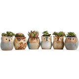 6-Pack: 2.5 Inch Owl Pot Ceramic Base Garden & Patio - Tophatter Daily Deals