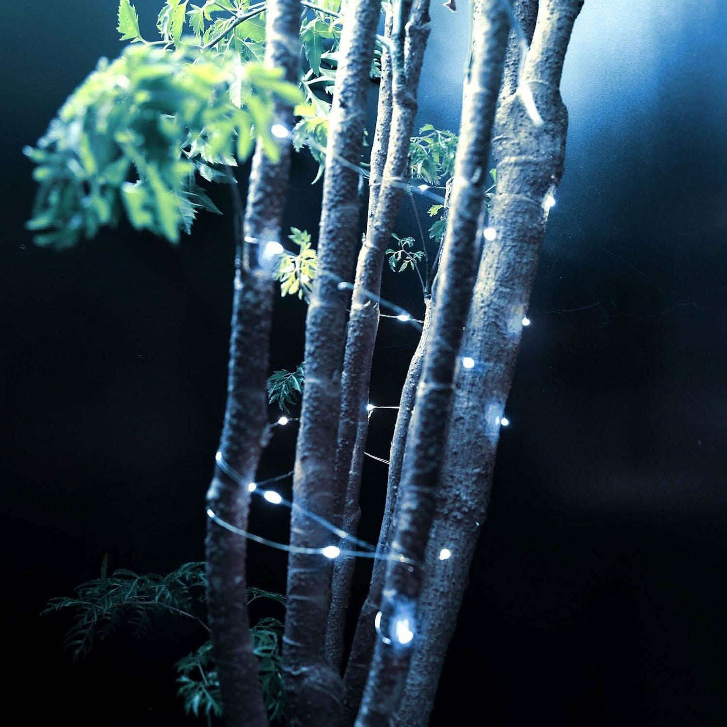 6-Pack: LED String Lights String & Fairy Lights - Tophatter Daily Deals