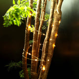 6-Pack: LED String Lights String & Fairy Lights - Tophatter Daily Deals