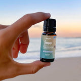 6-Pack: Summer Vibe Fresh Scented Aromatherapy Essential Oil For Diffusers Humidifiers Health & Wellness - Tophatter Daily Deals