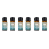 6-Pack: Summer Vibe Fresh Scented Aromatherapy Essential Oil For Diffusers Humidifiers Health & Wellness - Tophatter Daily Deals