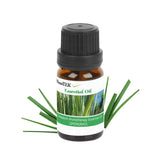 6-Pack: Therapeutic Aromatherapy Essential Oils Bottle Health & Wellness - Tophatter Daily Deals