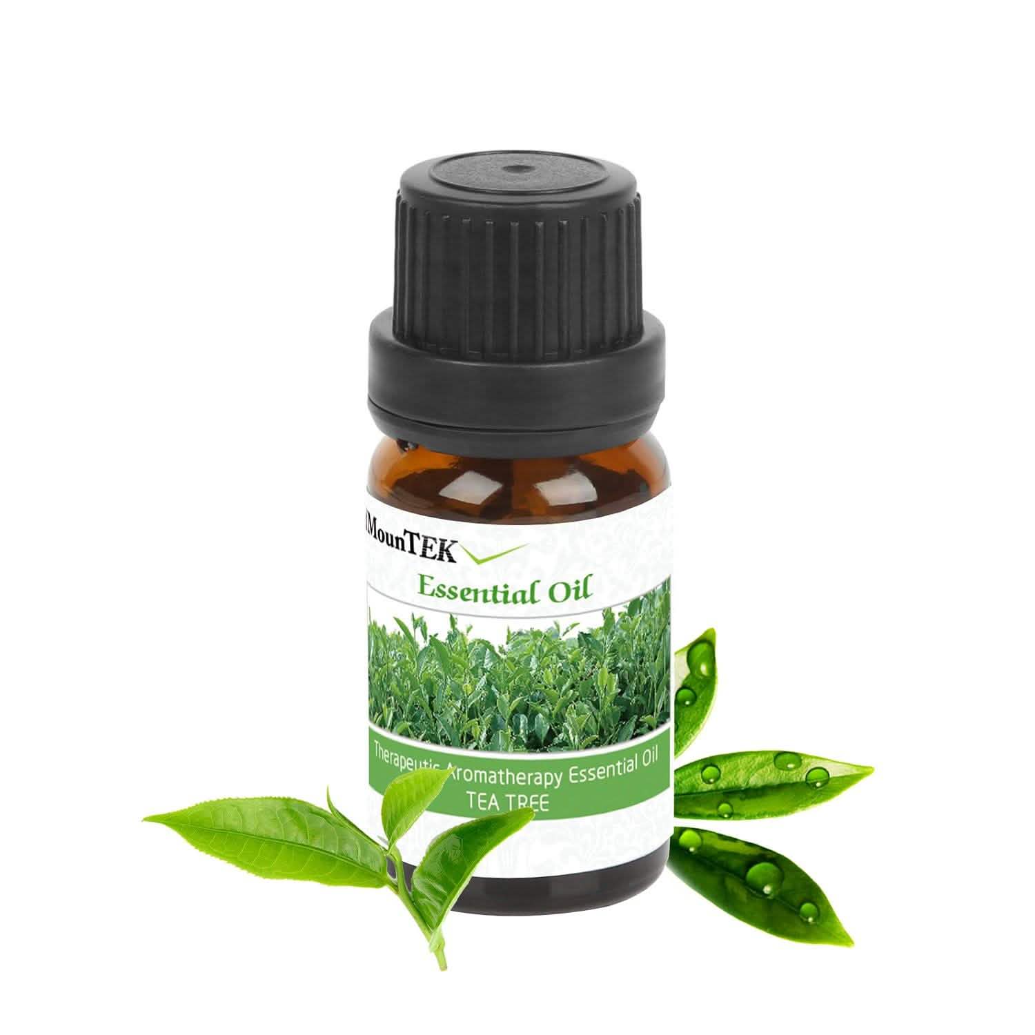 6-Pack: Therapeutic Aromatherapy Essential Oils Bottle Health & Wellness - Tophatter Daily Deals