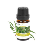 6-Pack: Therapeutic Aromatherapy Essential Oils Bottle Health & Wellness - Tophatter Daily Deals