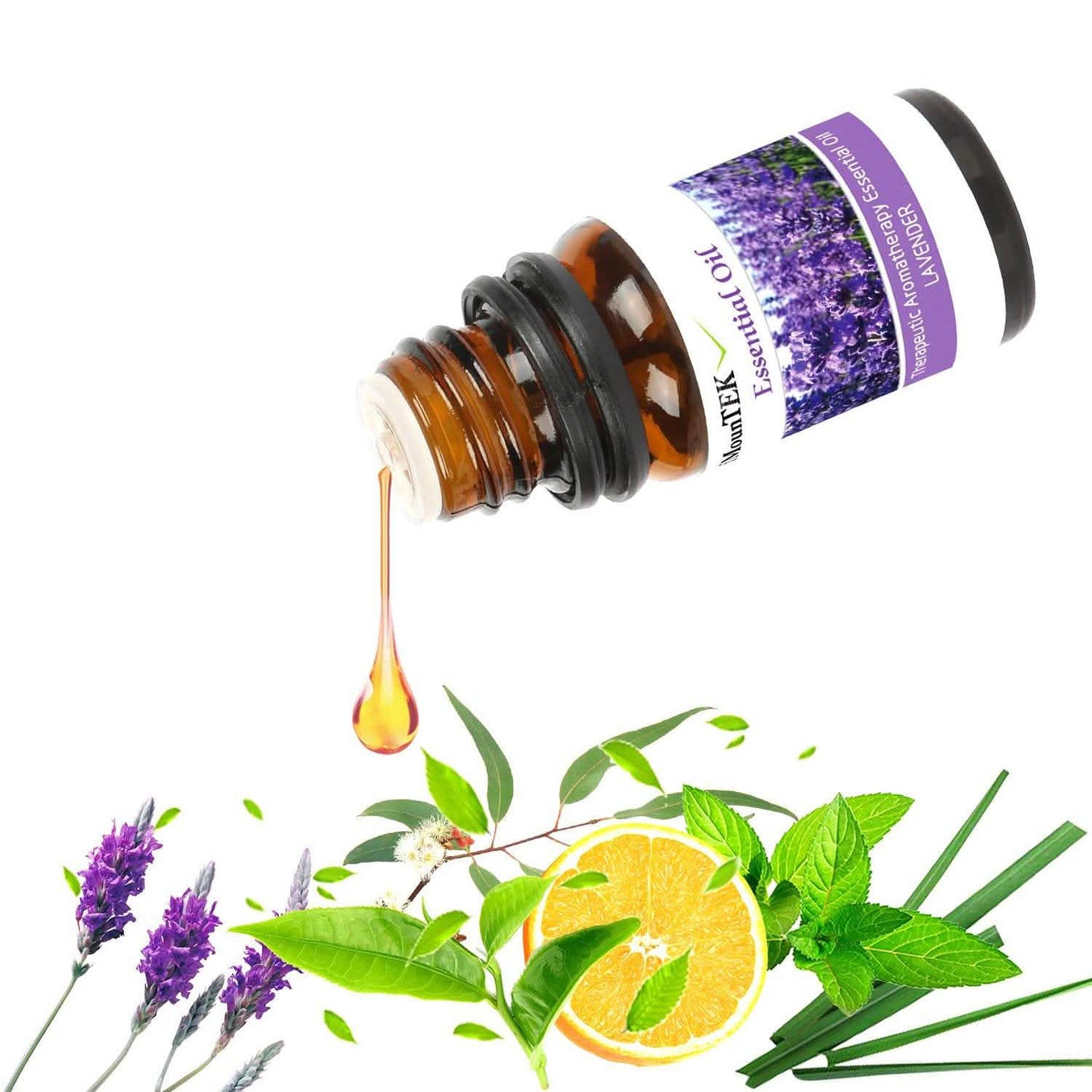 6-Pack: Therapeutic Aromatherapy Essential Oils Bottle Health & Wellness - Tophatter Daily Deals
