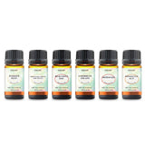 6-Piece: Island Gateway Pure Aromatherapy Essential Oil Set Health & Wellness - Tophatter Daily Deals