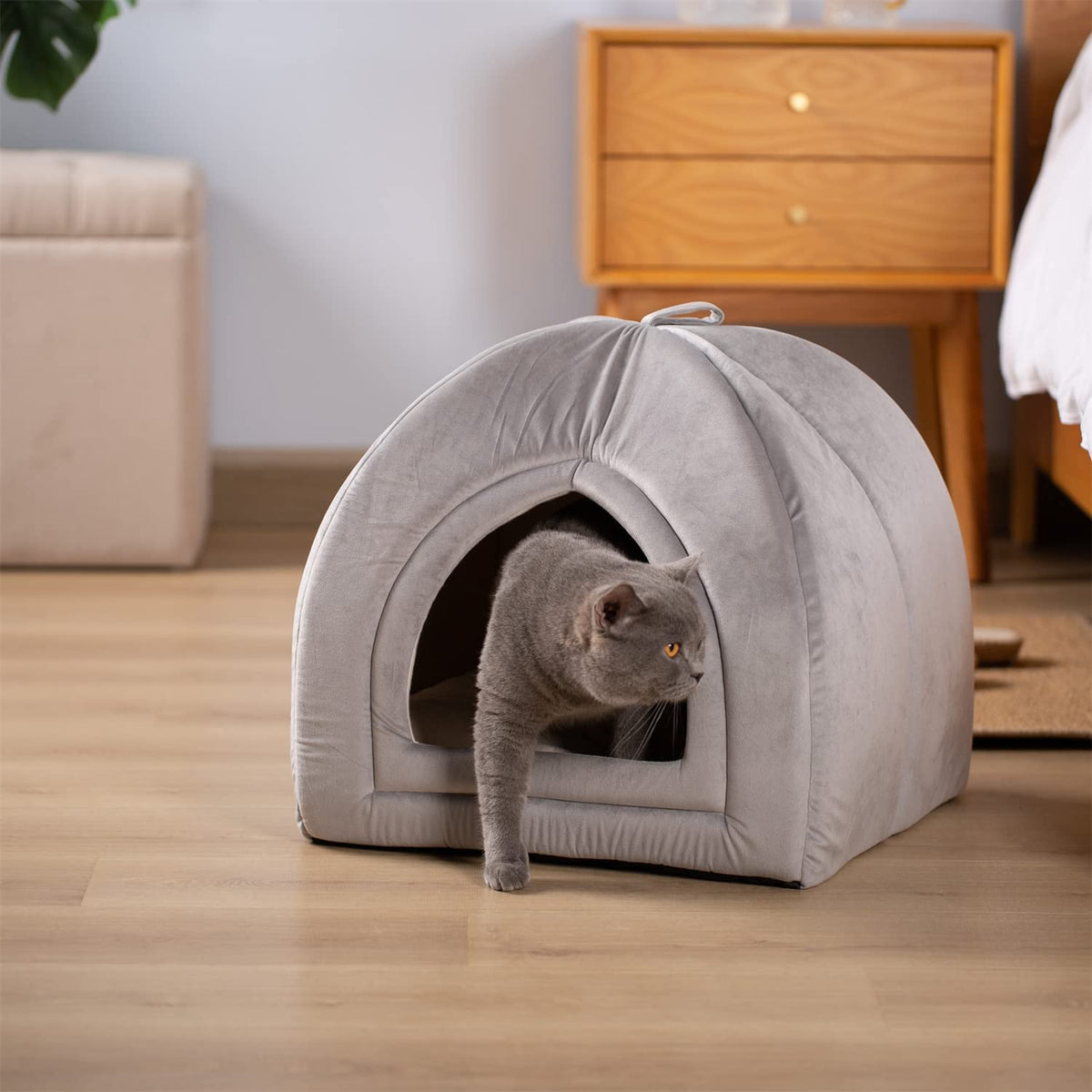Kasentex Cat Bed, Lovely Tent with Removable Washable Pillow Cushion Grey Pet Beds - Tophatter Daily Deals