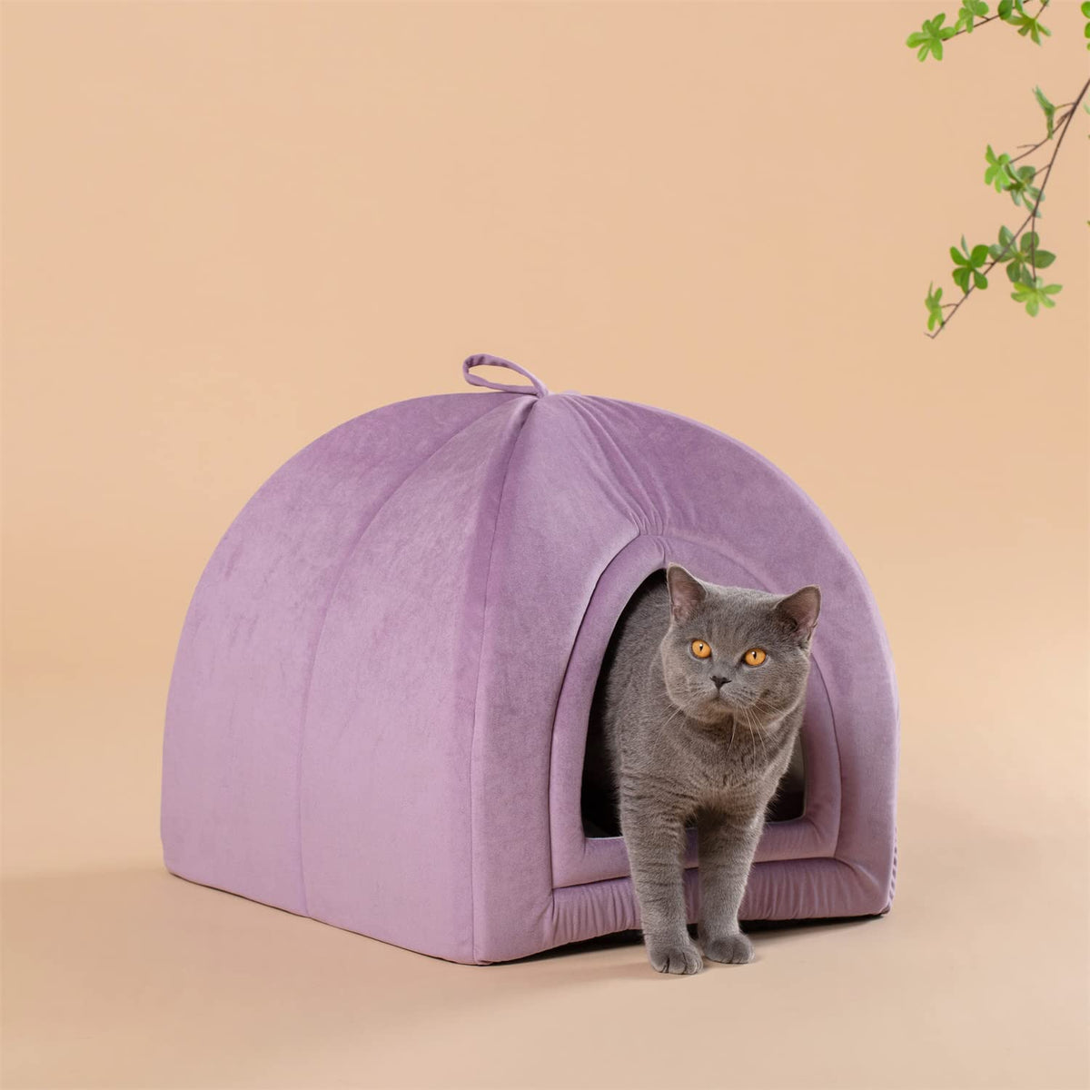 Kasentex Cat Bed, Lovely Tent with Removable Washable Pillow Cushion Pet Beds - Tophatter Daily Deals