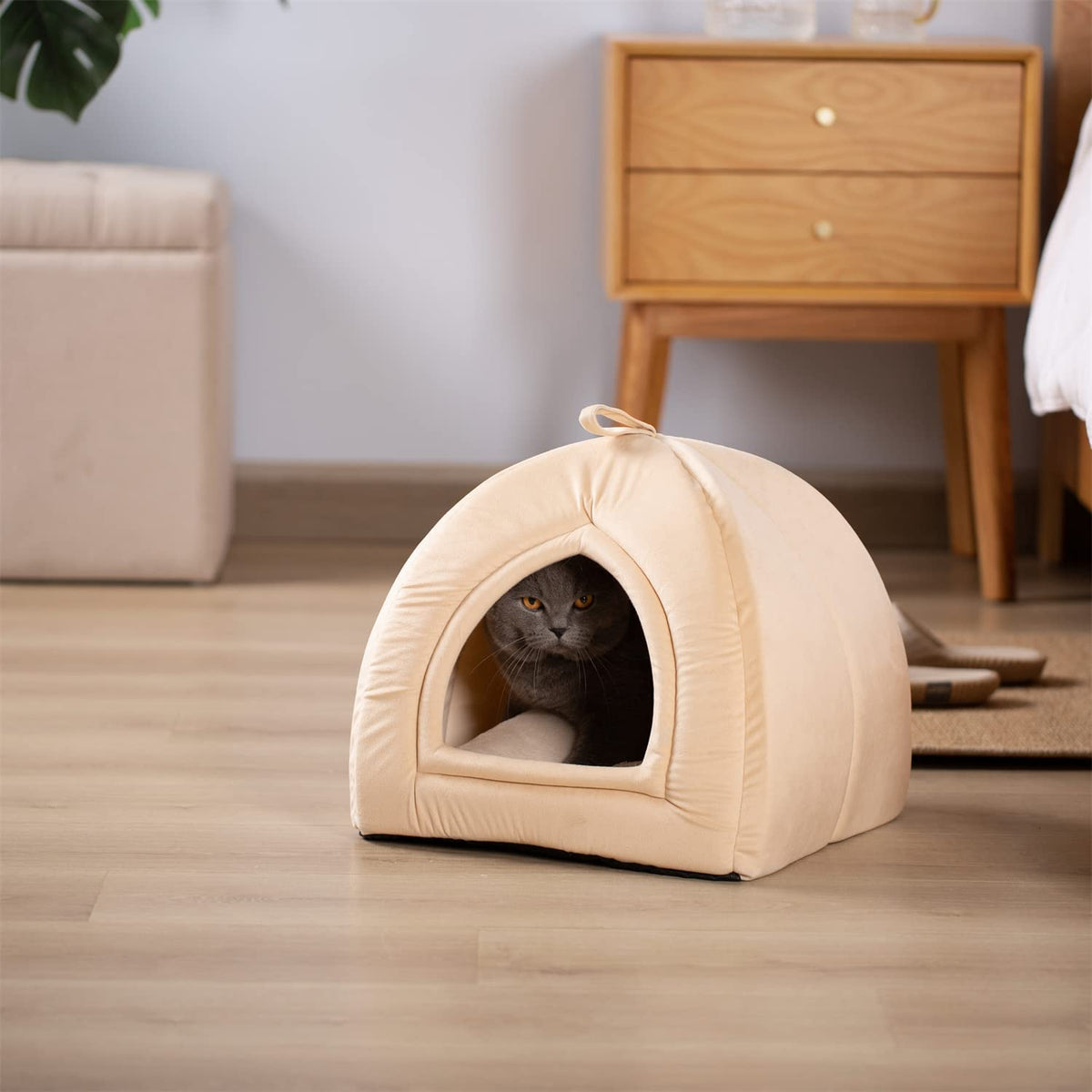 Kasentex Cat Bed, Lovely Tent with Removable Washable Pillow Cushion Pet Beds - Tophatter Daily Deals