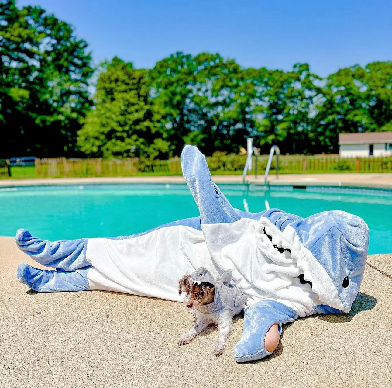 Shark Blanket - Tophatter Daily Deals