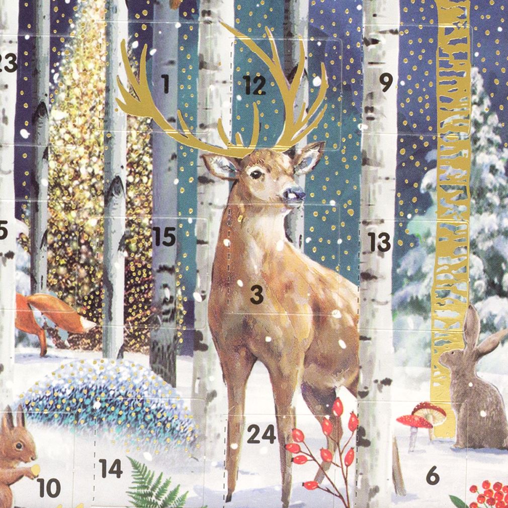 Magical Forest Christmas Advent Calendar Greetings Card | Door Advent Calendar Advent Calendar - Tophatter Daily Deals