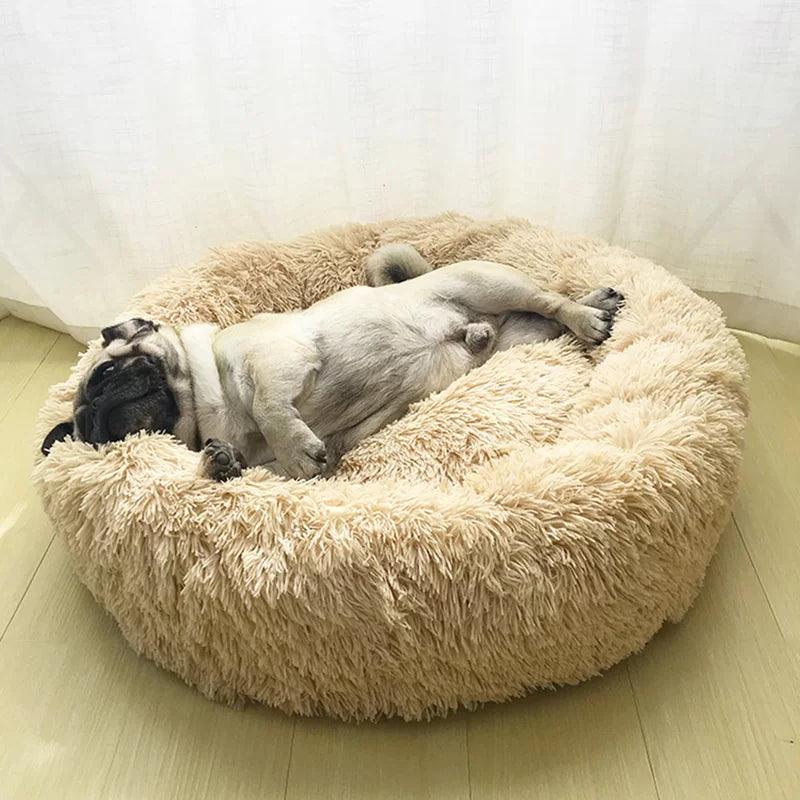 Almaguer Orthopedic Polyester Pet Bed - Tophatter Daily Deals