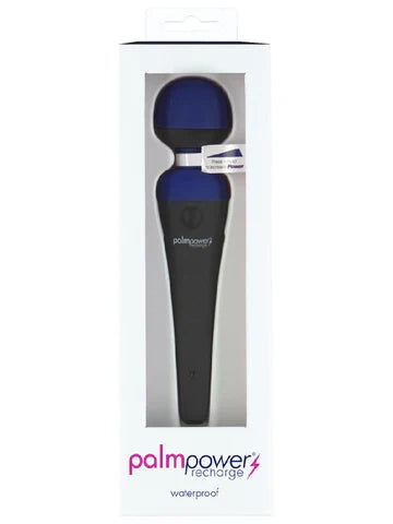 PalmPower Massage Wand Blue - Powerful Vibrator > Sex Toys > Massage Wands - Tophatter Daily Deals