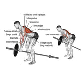 T-Bar Row Plate Post Insert Landmine - T-bar Row Holder Exercise & Fitness - Tophatter Daily Deals