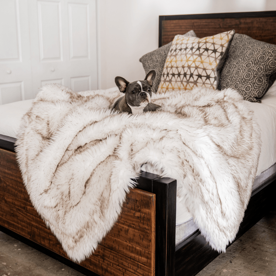 PupProtector™ Waterproof Throw Blanket - White with Brown Accents Original (60"L x 50"W) Pet Supplies - Tophatter Daily Deals
