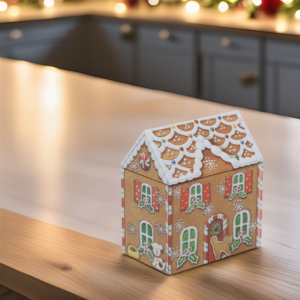 Dana Kubrik Small Gingerbread House Tin | Festive Christmas Storage Tin Tin - Tophatter Daily Deals