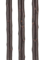 Irishman's Blackthorn Cane: Nature-Designed Walking Stick Irish Blackthorn Canes - Tophatter Daily Deals