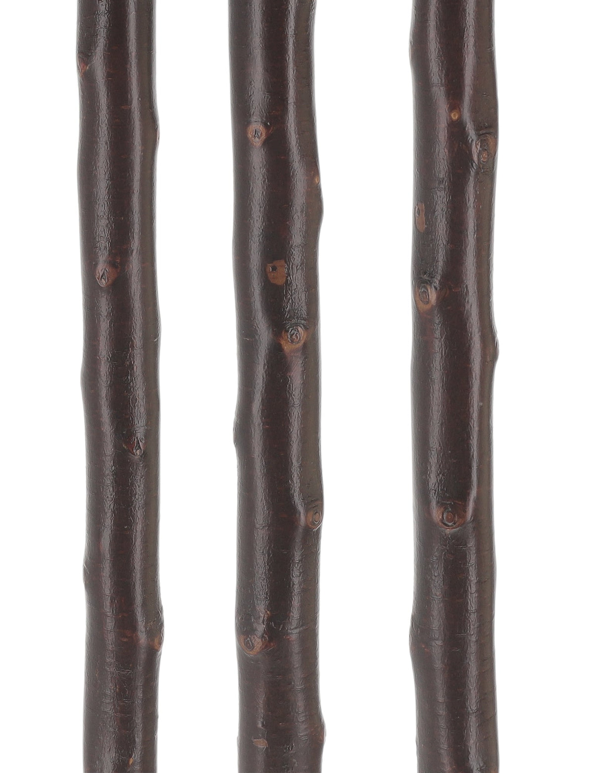 Irishman's Blackthorn Cane: Nature-Designed Walking Stick Irish Blackthorn Canes - Tophatter Daily Deals