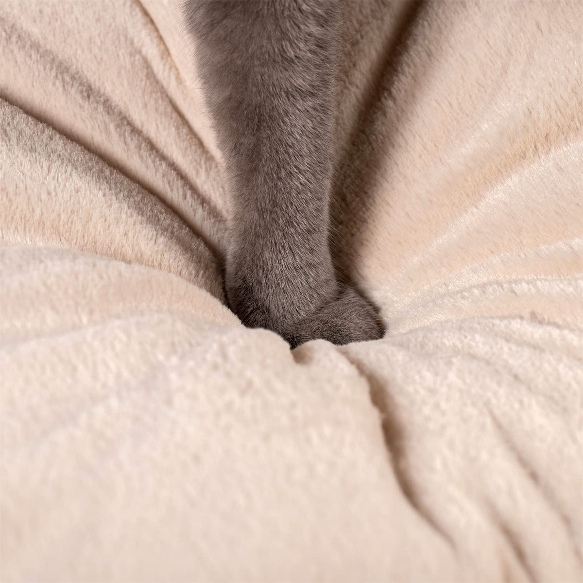 Kasentex Cat Bed, Lovely Tent with Removable Washable Pillow Cushion Pet Beds - Tophatter Daily Deals