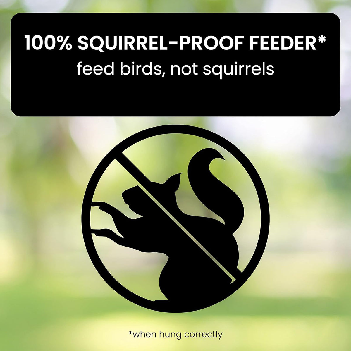 Squirrel Proof Bird Feeder Heavy Duty Spinning Perch - Tophatter Daily Deals