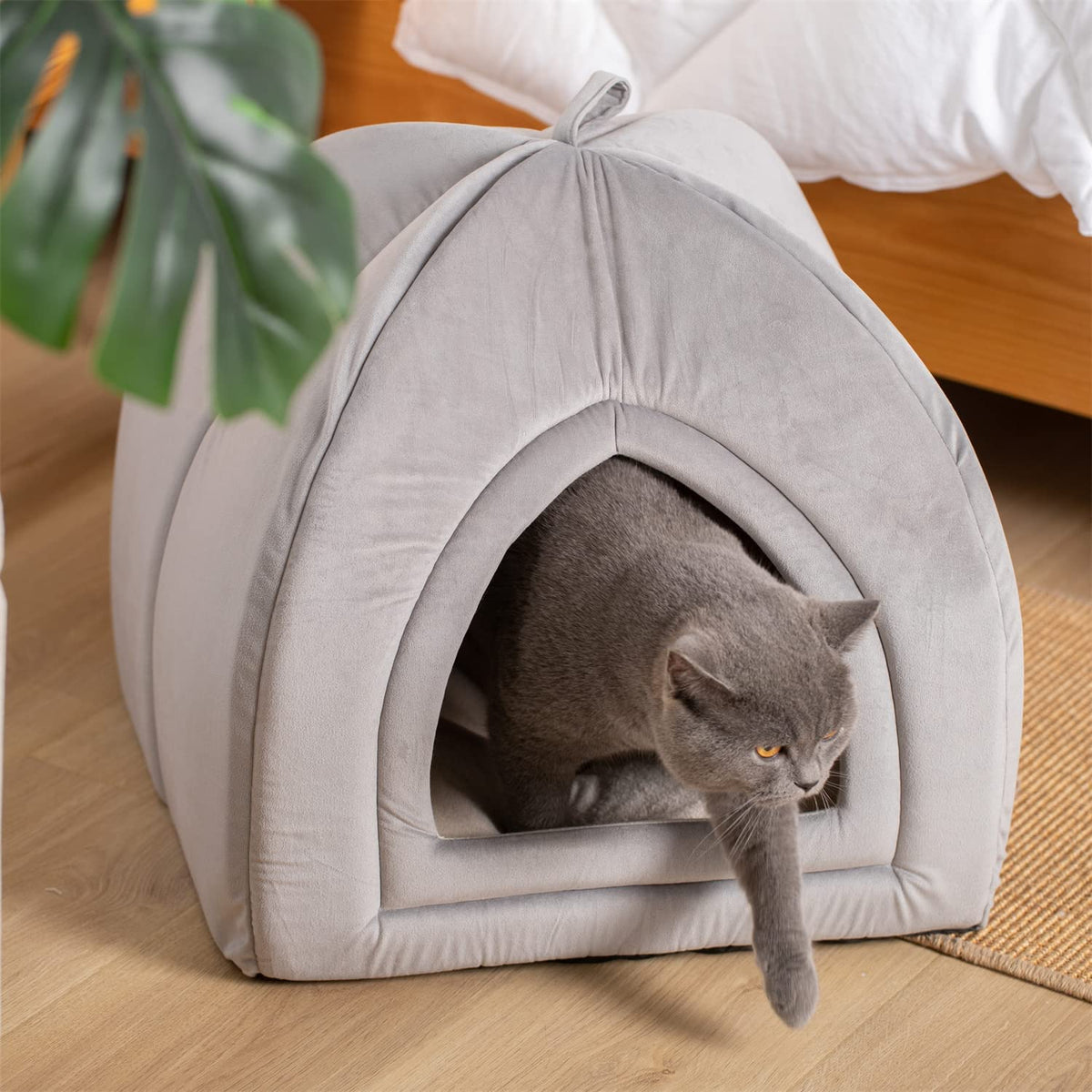 Kasentex Cat Bed, Lovely Tent with Removable Washable Pillow Cushion Pet Beds - Tophatter Daily Deals