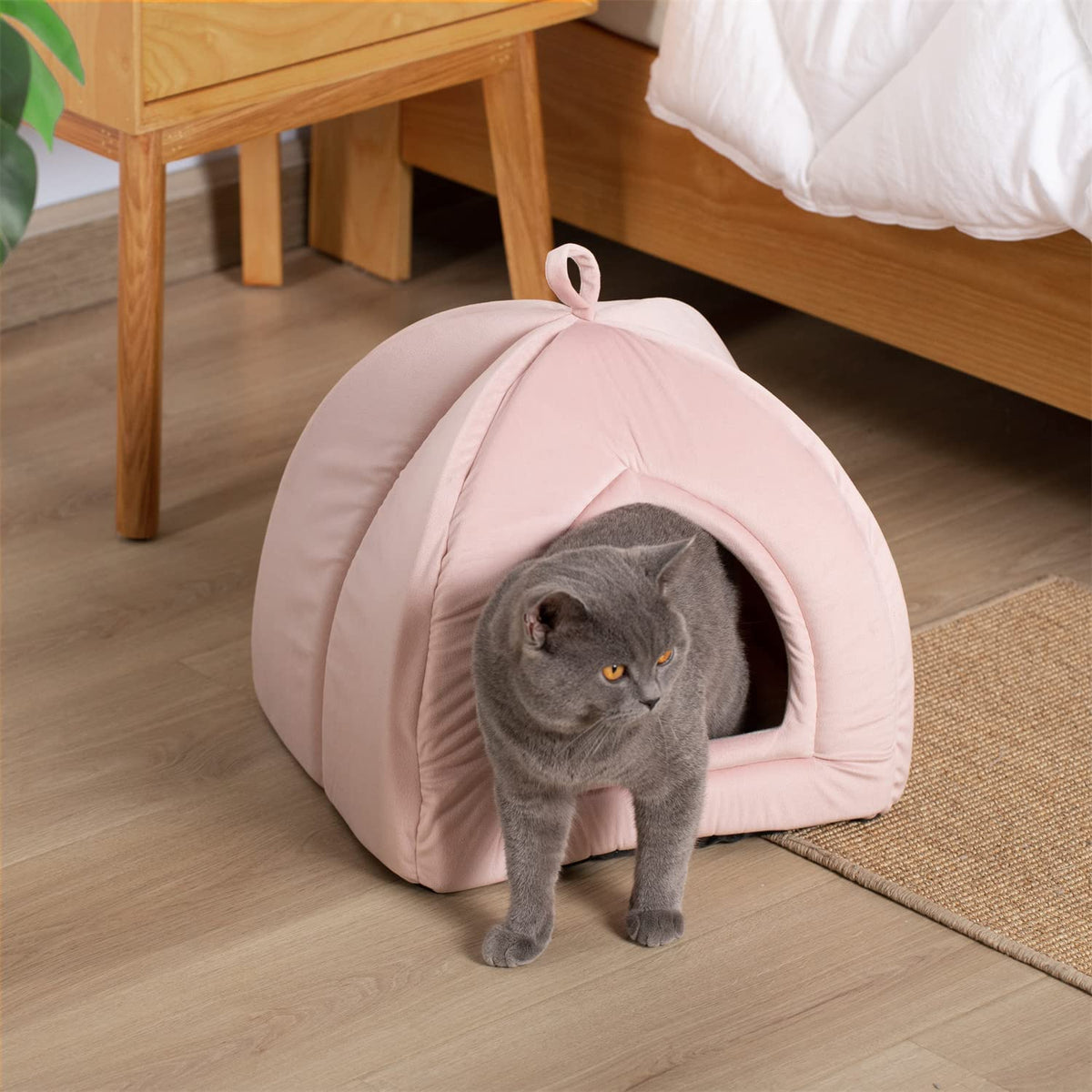 Kasentex Cat Bed, Lovely Tent with Removable Washable Pillow Cushion Pink Pet Beds - Tophatter Daily Deals