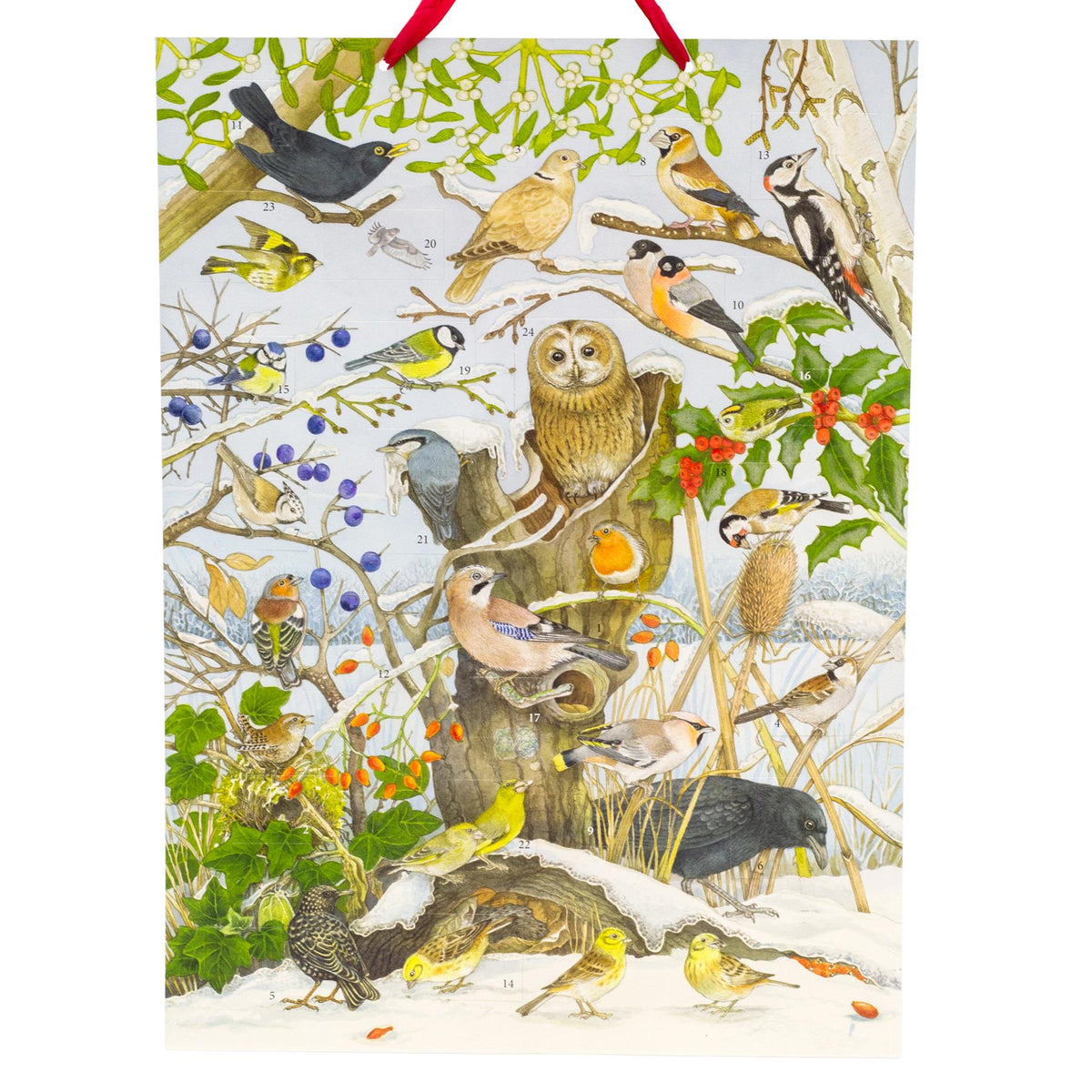 Birds in Winter Christmas Advent Calendar with Sound | Birdsong Advent Calendar Advent Calendar - Tophatter Daily Deals