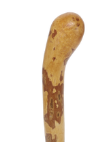 Authentic Hazel Walking Stick from Ireland Irish Blackthorn Canes - Tophatter Daily Deals