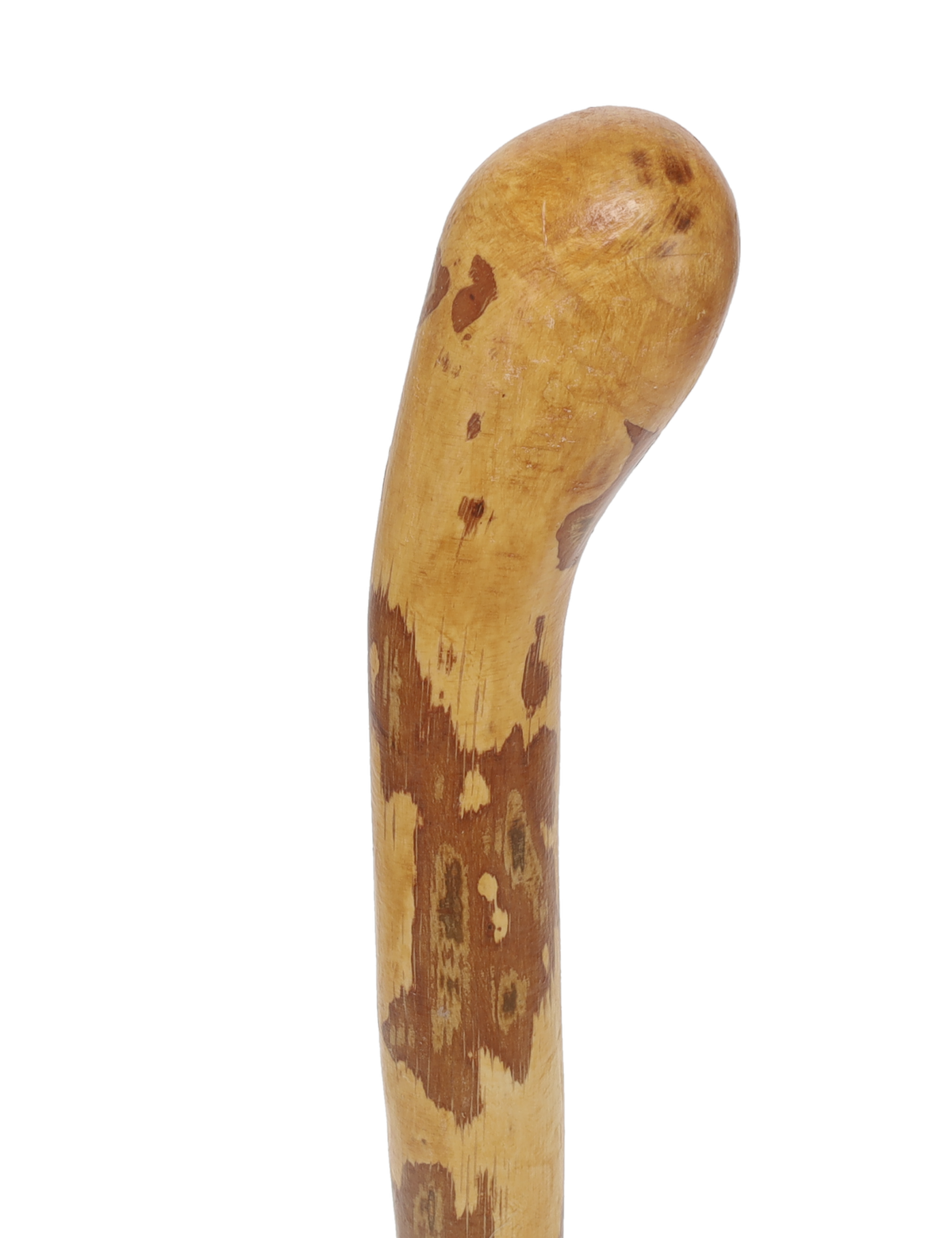 Authentic Hazel Walking Stick from Ireland Irish Blackthorn Canes - Tophatter Daily Deals