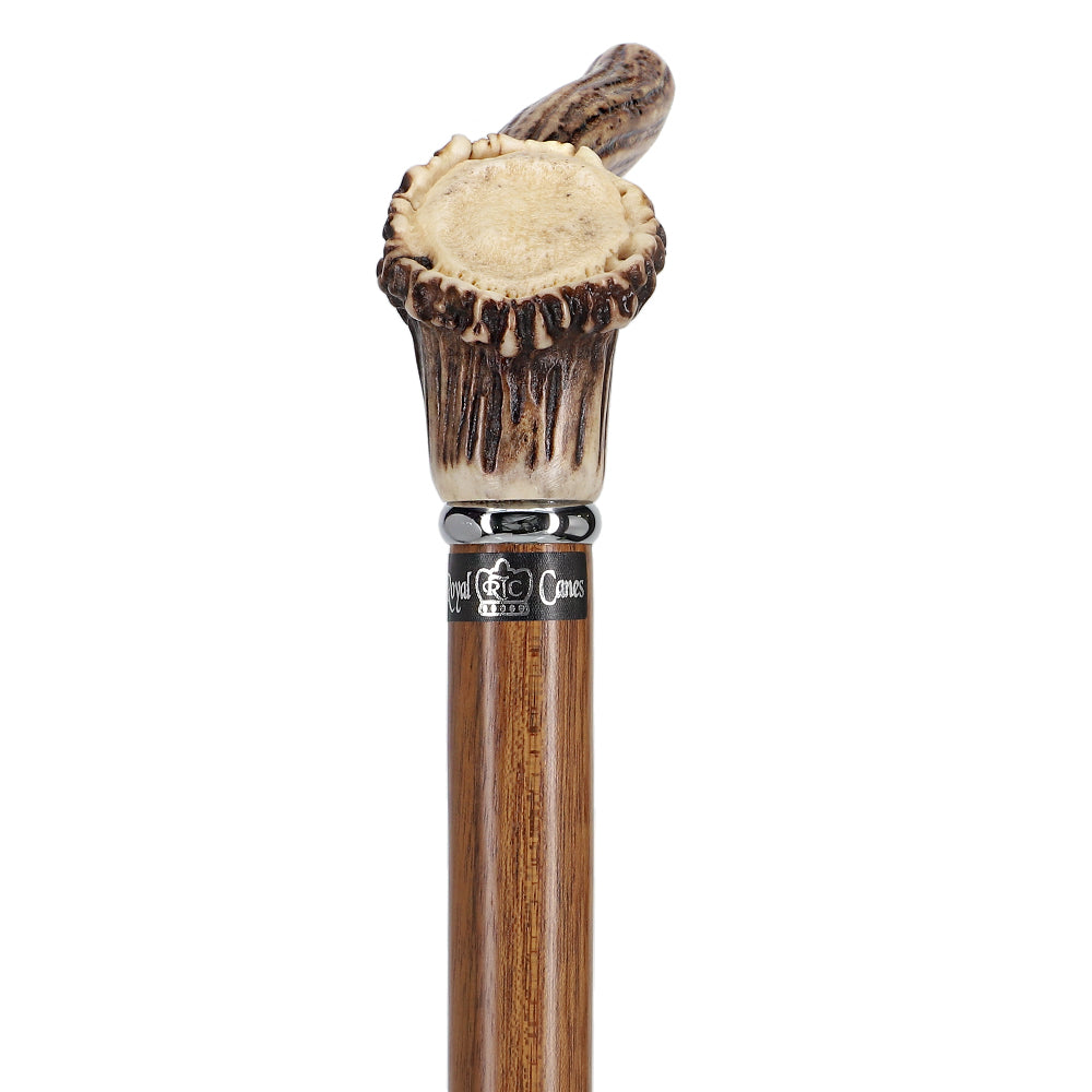 Exclusive Genuine Deer Stag Horn Cane with Ovangkol Wood Shaft Horn Handle Walking Canes - Tophatter Daily Deals