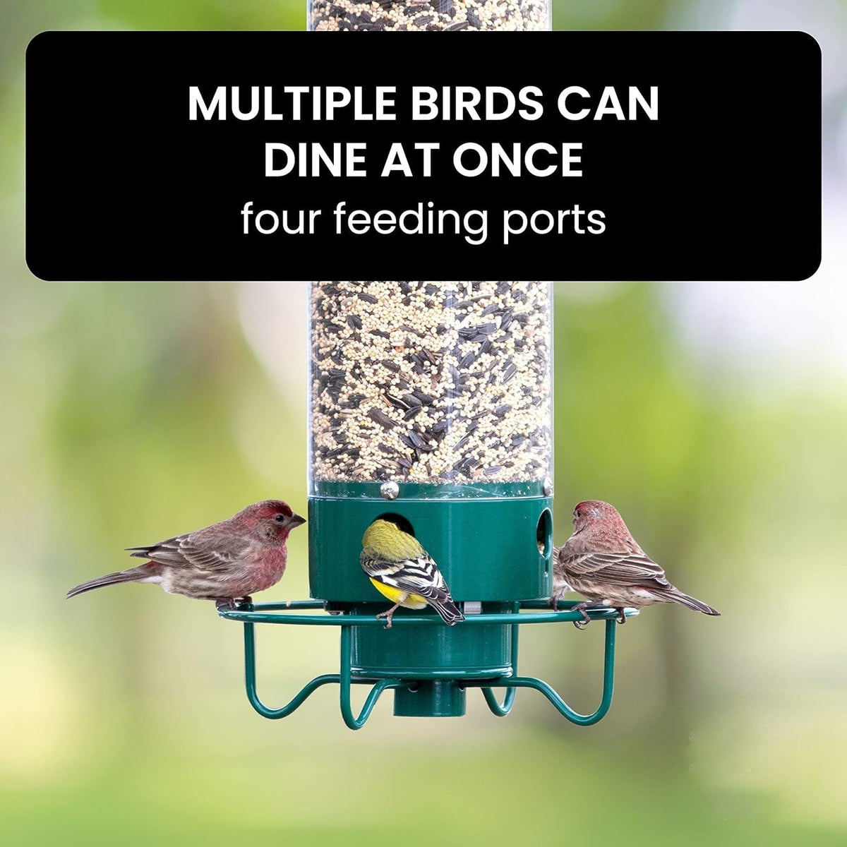 Squirrel Proof Bird Feeder Heavy Duty Spinning Perch - Tophatter Daily Deals