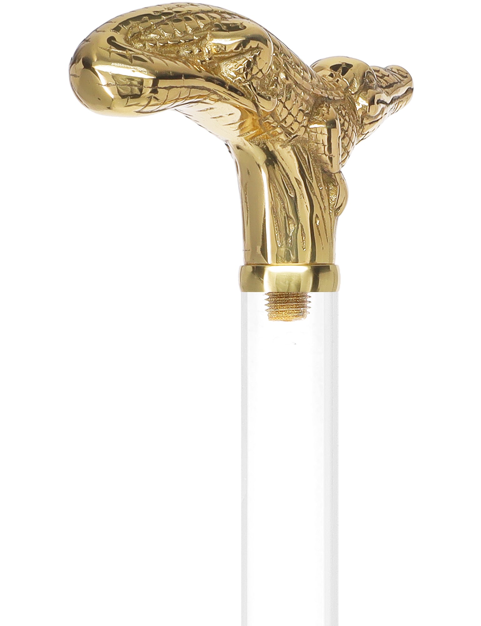 Crystal Elegance Brass Alligator Cane with Invisible Acrylic Shaft Options Clear Lucite Walking Canes - Tophatter Daily Deals