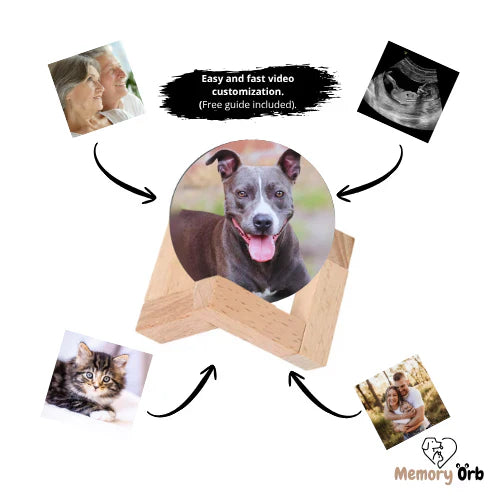 Memory Lamp - Tophatter Daily Deals