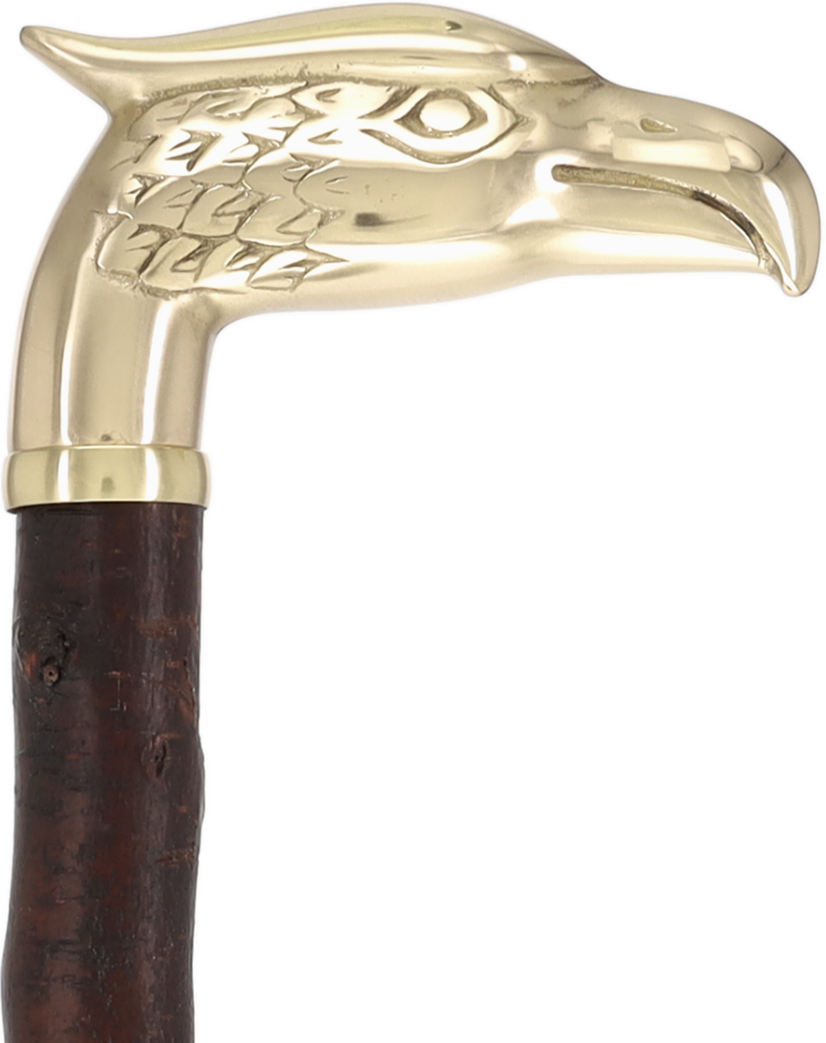 Rare Irish Blackthorn Collector's Cane | Customizable Handle Options Brass Eagle Irish Blackthorn Canes - Tophatter Daily Deals