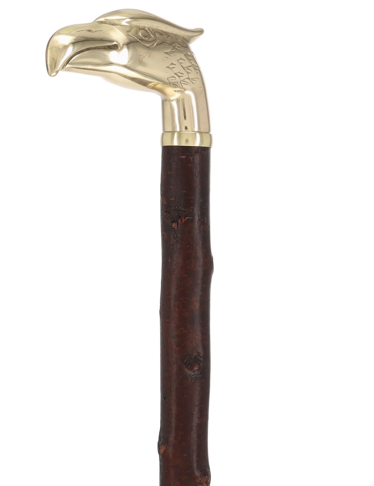 Rare Irish Blackthorn Collector's Cane | Customizable Handle Options Irish Blackthorn Canes - Tophatter Daily Deals