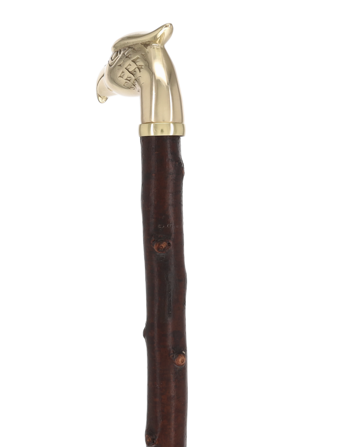 Rare Irish Blackthorn Collector's Cane | Customizable Handle Options Irish Blackthorn Canes - Tophatter Daily Deals