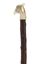 Rare Irish Blackthorn Collector's Cane | Customizable Handle Options Irish Blackthorn Canes - Tophatter Daily Deals