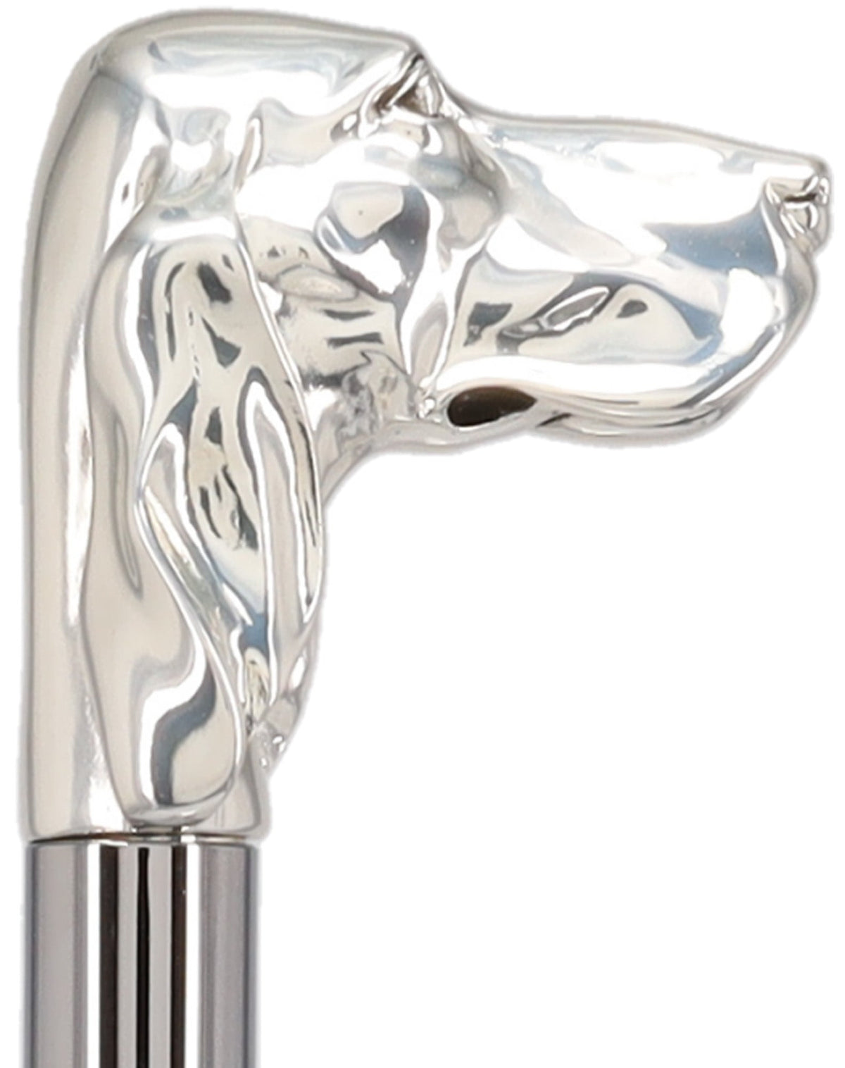 Silver Plated Hound Handle Walking Stick With Beechwood Shaft and Silver Collar Animal Handled Canes - Tophatter Daily Deals
