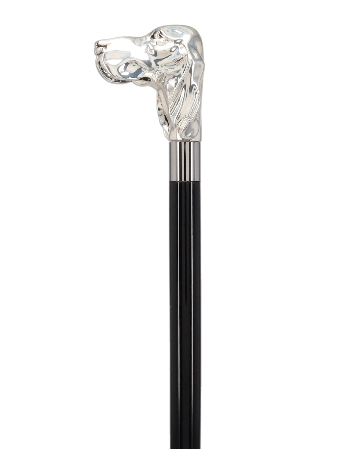 Silver Plated Hound Handle Walking Stick With Beechwood Shaft and Silver Collar Animal Handled Canes - Tophatter Daily Deals
