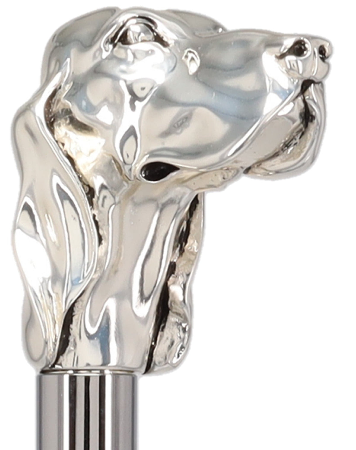 Silver Plated Hound Handle Walking Stick With Beechwood Shaft and Silver Collar Animal Handled Canes - Tophatter Daily Deals