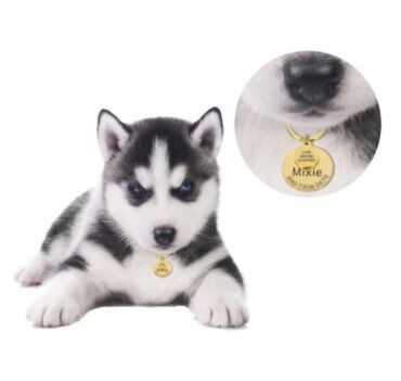 Anti-lost Engraved Pet Tag Collar Tag Pendant Keychain 7 - Tophatter Daily Deals