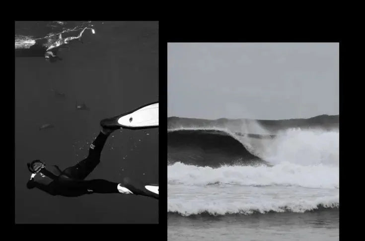 Raymond Lige™ Luxury Quartz Watch Watches - Tophatter Daily Deals