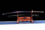 Akashic pupil - Tophatter Daily Deals