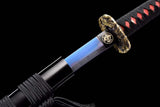 Akashic pupil - Tophatter Daily Deals
