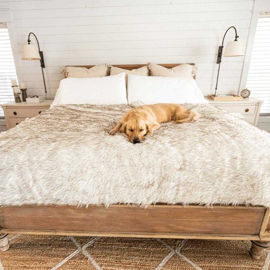 PupProtector™ Waterproof Throw Blanket - White with Brown Accents Large (80"L X 62"W) Pet Supplies - Tophatter Daily Deals