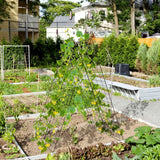2 Pieces Foldable A-Frame Trellis Plant Supports with Twist Ties Garden & Patio - Tophatter Daily Deals